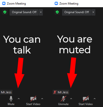 zoom-can-talk.jpg